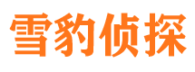 京山侦探